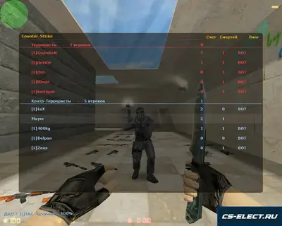 CS 1.6 с ботами