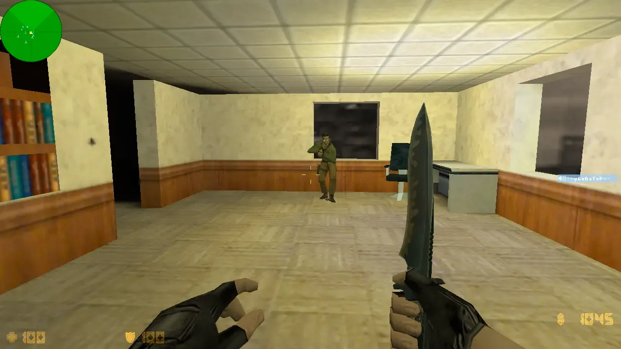 CS 1.6 Valve