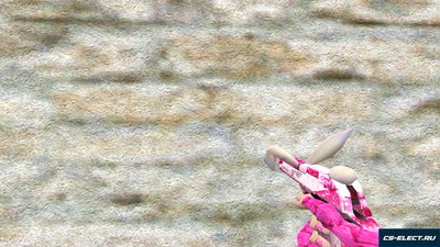 Пак оружия «Cute Trap» для CS 1.6