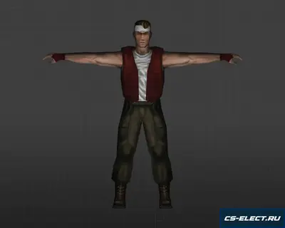 Модель «Забияка»