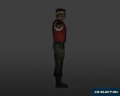 Модель «Забияка»