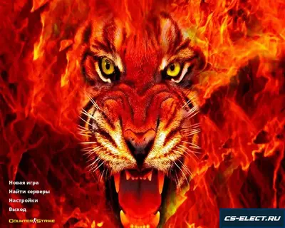 CS 1.6 Огонь