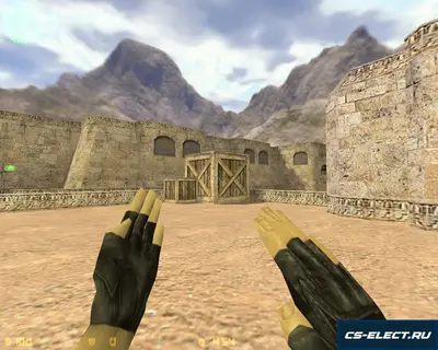 CS 1.6 от Украинского лесника