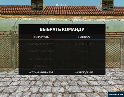 CS 1.6 2019 года