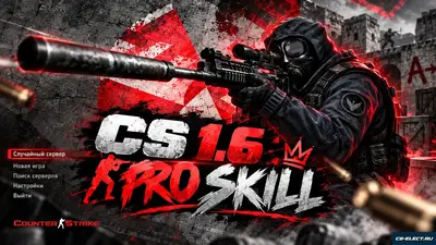 CS 1.6 PRO SKILL
