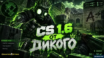 CS 1.6 от Дикого