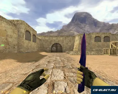 CS 1.6 от Дикого
